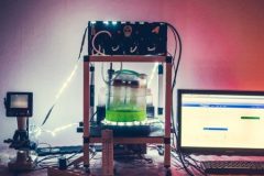 15326581_1863354680550523_2428704666804344635_n-510x382