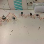 PHOTO_20180317_155624-150x150